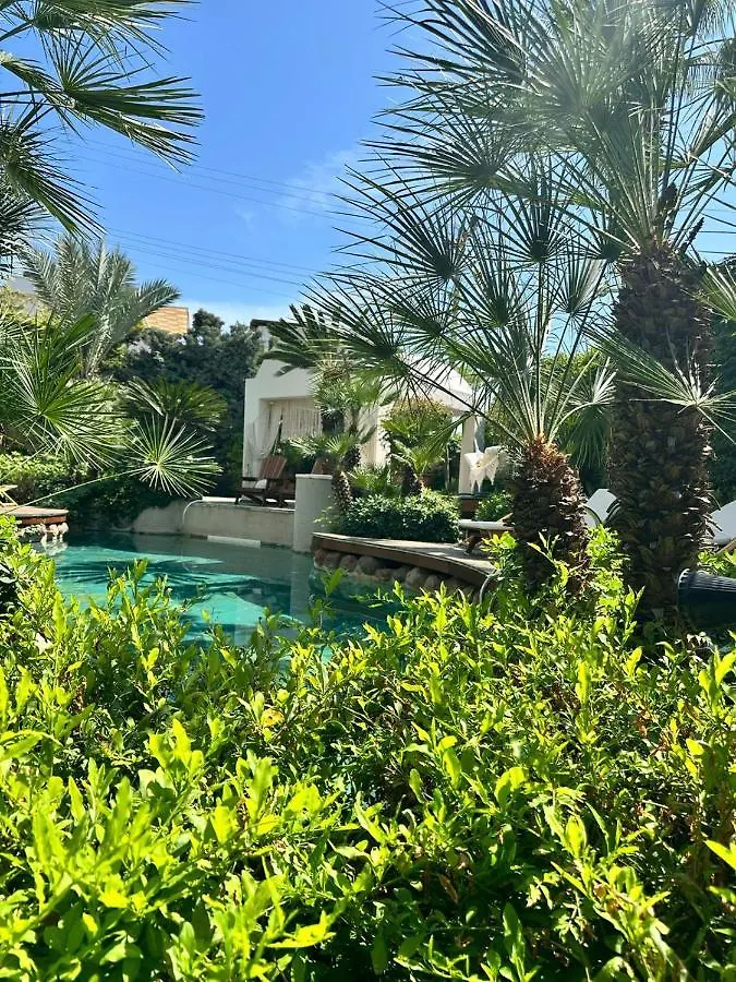 Munahan Bed & Breakfast Bodrum Türkiye
